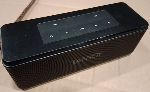 Портативная акустическая система с Bluetooth Tannoy Live Mini